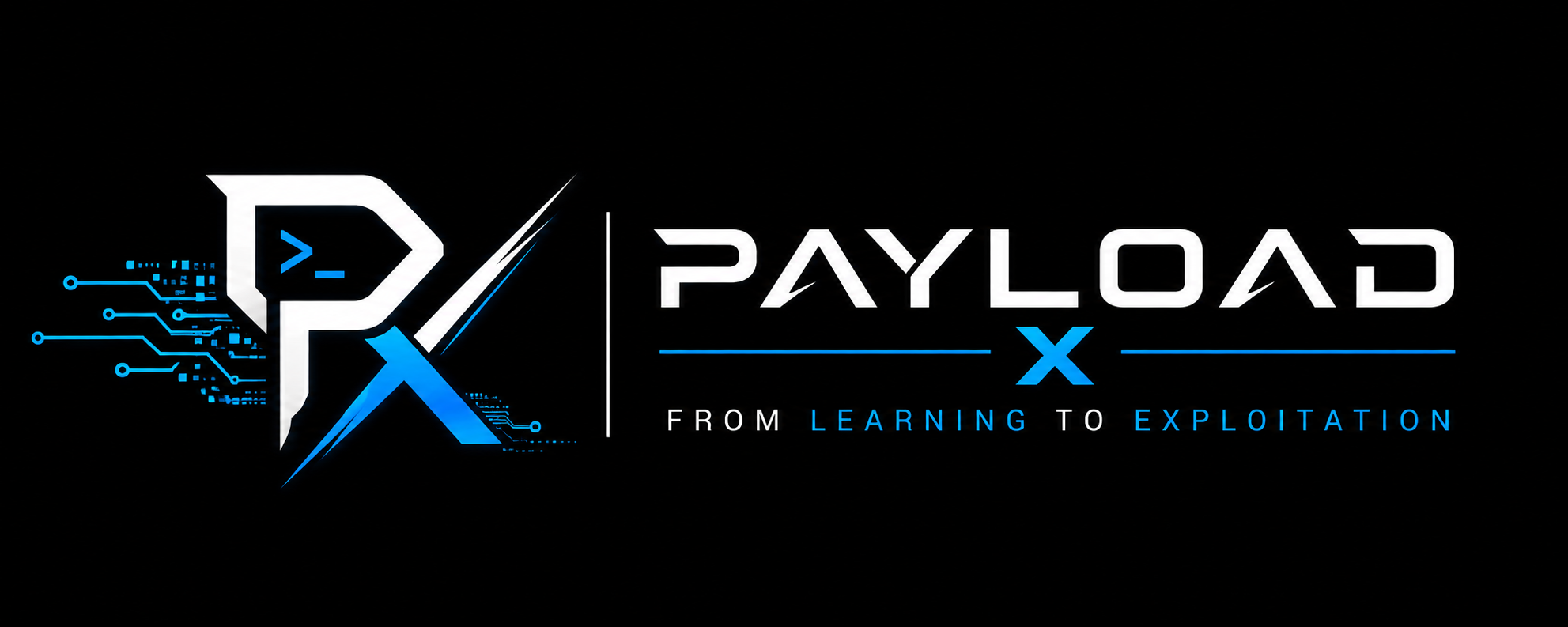 PayloadX